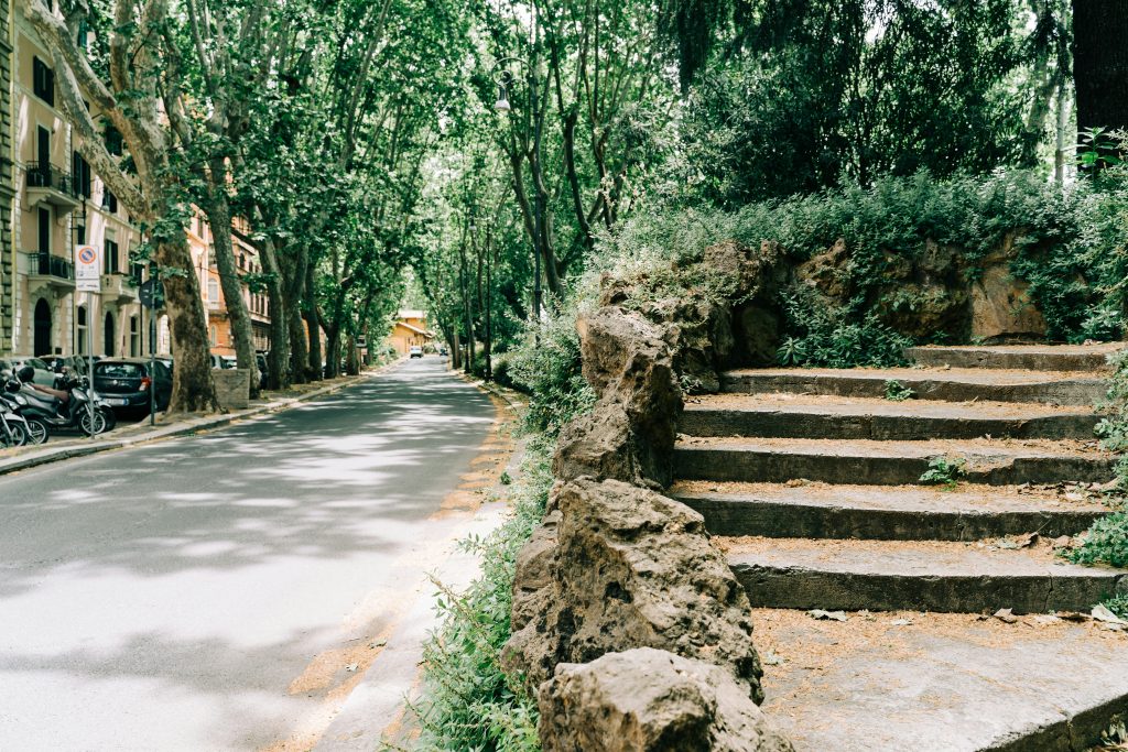 Steps and path through trees